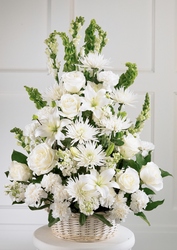 Eternal Light Arrangement from Clifford's where roses are our specialty